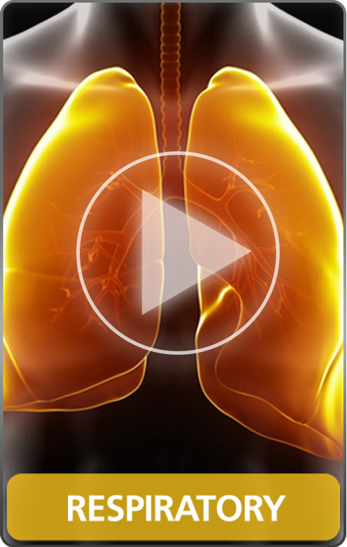 Respiratory - Disease Movie