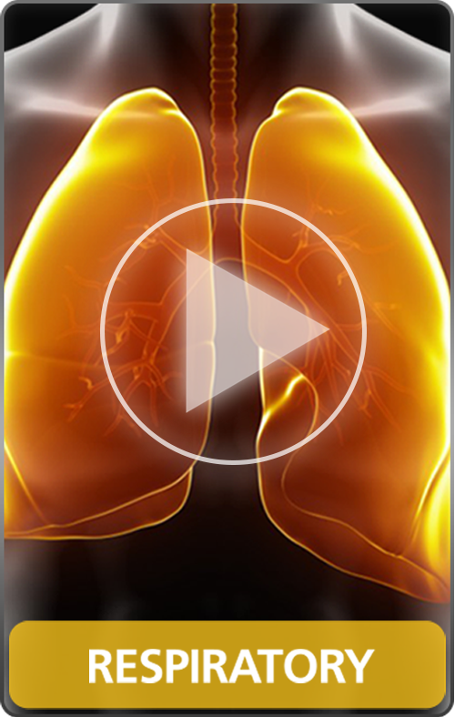 Respiratory - Disease Movie